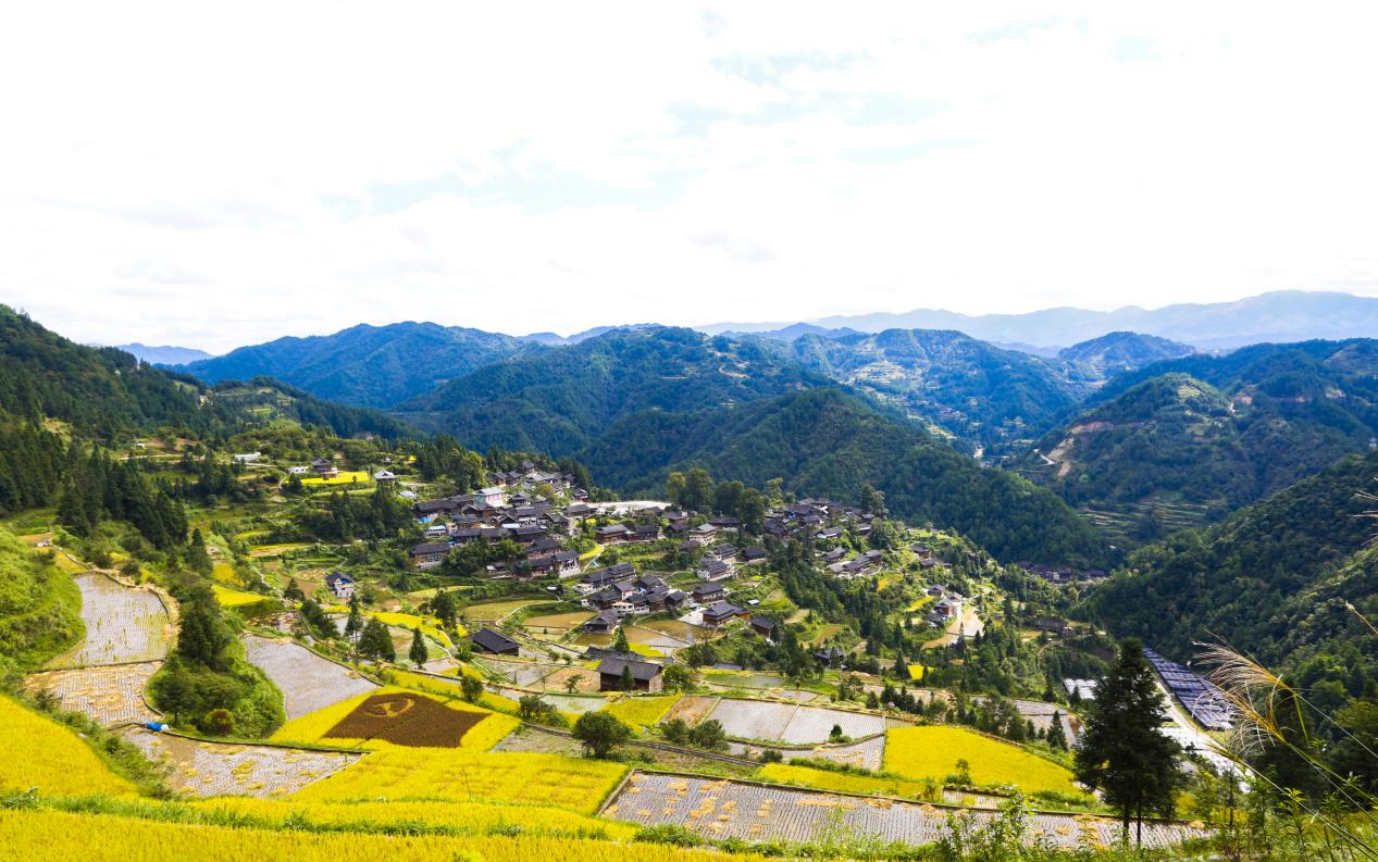 雷山县南猛村生态农业项目考察